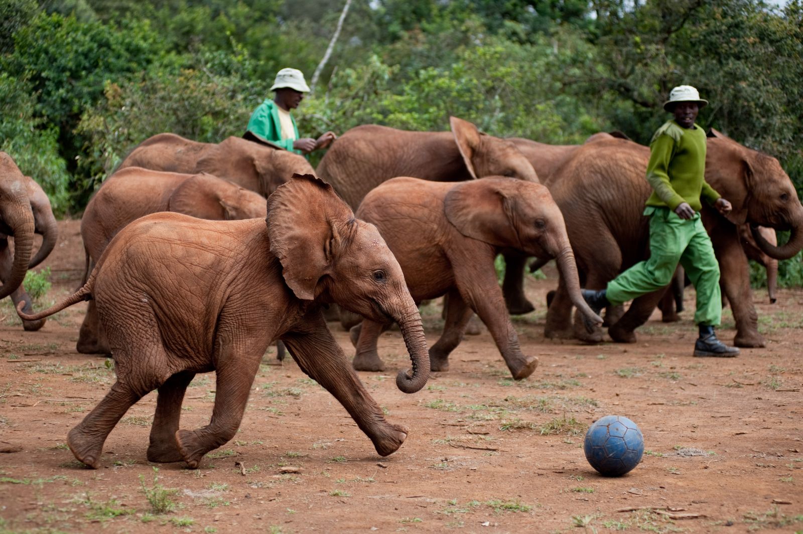 Dana East Africa Safaris